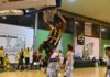 Serie C Gold, al Bologna Basket 2016 il derby con la Virtus Spes