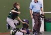 Baseball, al via la Winter League