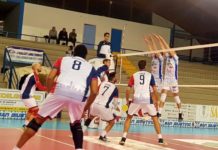 Serie B, punto prezioso per la Pallavolo Bologna