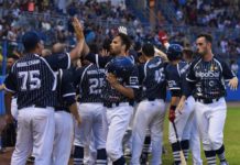 Baseball, annullate le competizioni internazionali