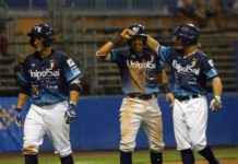 Baseball, nuovo successo della Fortitudo