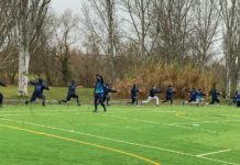 Baseball, primo allenamento stagionale per la Fortitudo