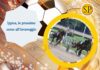 Ippica, la presentazione delle prossime corse