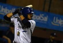 Baseball, la Fortitudo sconfitta dal Parma